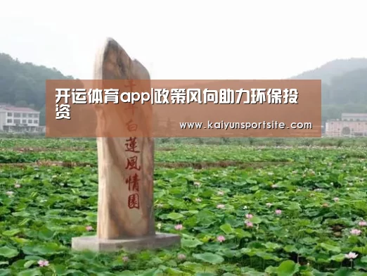 开运体育app|政策风向助力环保投资(图2) kaiyu体育