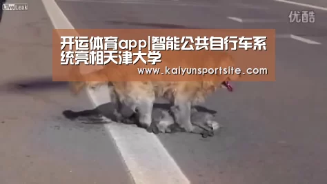 kaiyu体育