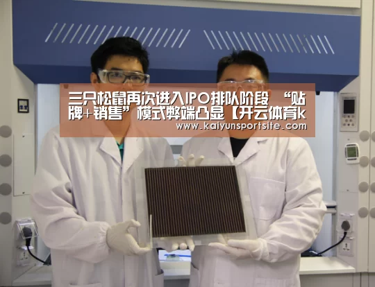 三只松鼠再次进入IPO排队阶段 “贴牌+