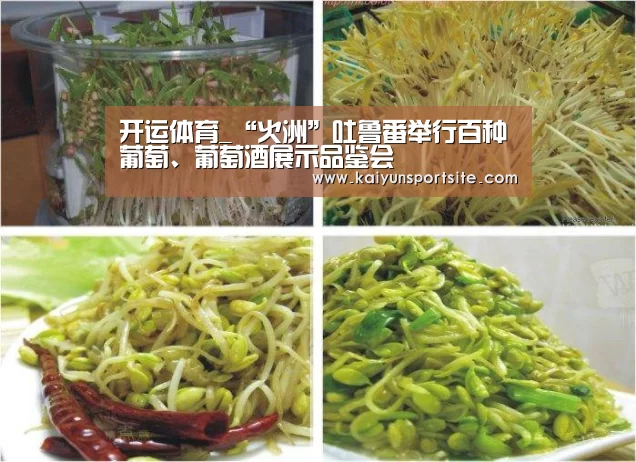 开运体育_“火洲”吐鲁番举行百种葡萄、葡