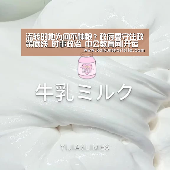 流转的地为何不种粮？政府要守住政策底线_