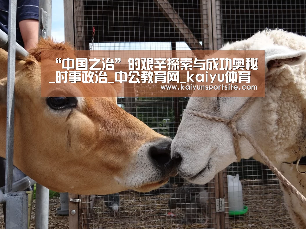 “中国之治”的艰辛探索与成功奥秘_时事政