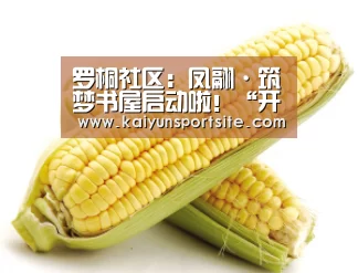 罗桐社区:凤翮·筑梦书屋启动啦!“开运体育app”(图3) 开运体育